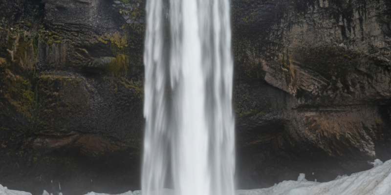 Gemini_Generated_Image_7dt3m47dt3m47dt3(1)