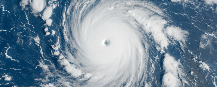 Gemini_Generated_Image_ik3zzcik3zzcik3z(1)