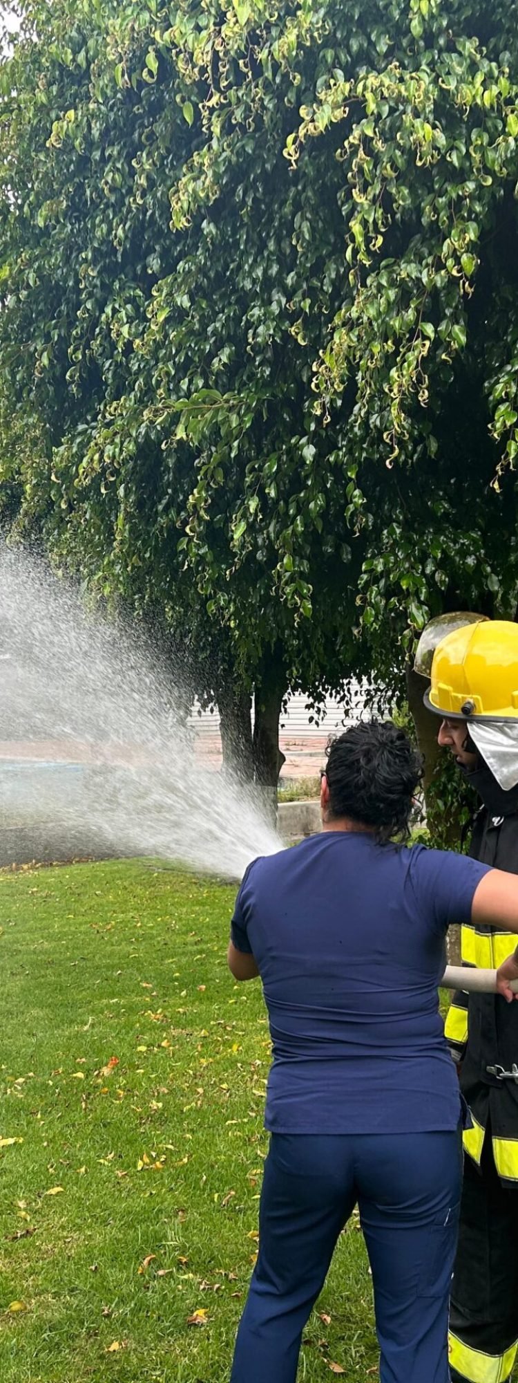 WhatsApp Image 2025-09-15 at 12.57.29 PM