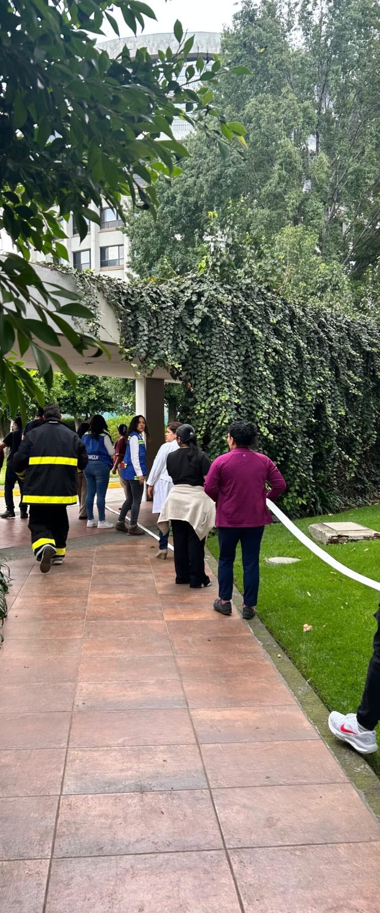 WhatsApp Image 2025-09-15 at 12.57.34 PM